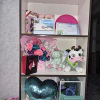 کتابخانه سه طبقه تمام ام دی اف
