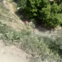 فروش خط تلفن شماره رند۸۴۴۱۲۰۰