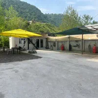 نیروی کار کارواش