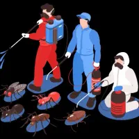 سم پاشی سمپاشی سم پاش سوسک ساس موش کنه تضمینی