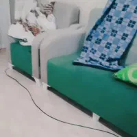مبل هفت نفره|مبلمان خانگی و میز عسلی|تهران, دکتر هوشیار|دیوار