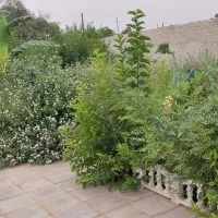 یک-هکتار-زمین-کشاورزی