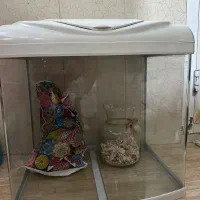 اکواریوم