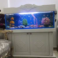 اکواریوم حرفه ای با کمد