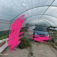 شاسی گلخانه  به همراه پلاستیک