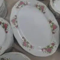 چیتی گل سرخ