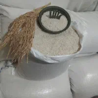 برنج هاشمی اصیل