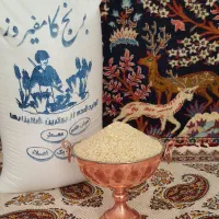 برنج کامفیروزی نو و تازه اصل مستقیم از کشاورز