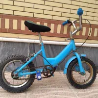 دوچرخه در حد نوع