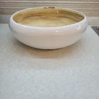 گلدان سرامیکی و گلدان شیشه ای