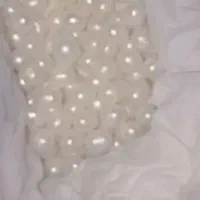 مروارید پرورشی اصل