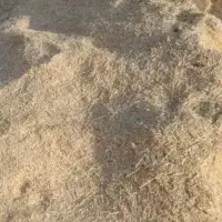 فروش حدود سه خلوار کاه سفید