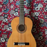 گیتار اریا ak20