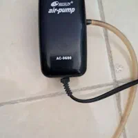 اکواریوم|ماهی|شاهینشهر, خانه کارگر|دیوار