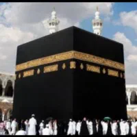 فروش فیش حج عمره|تور و چارتر|بندرعباس, |دیوار