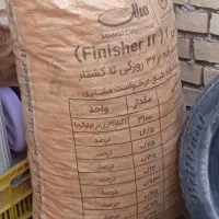 ذ بلوط