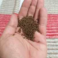 غذای ماهی|ماهی|کرج, جهان‌شهر|دیوار