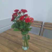 نیازمند پرسنل سالن زیبای