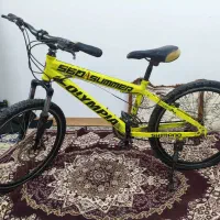 دوچرخه 24