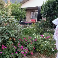 اجاره کوتاه مدت ویلا باغی