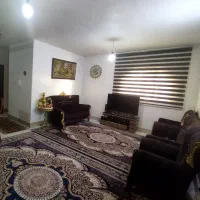دوتا پرده زبرا جنس ترک