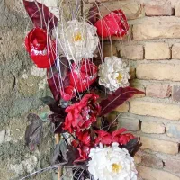 ظرف نو|ظروف سرو و پذیرایی|ارومیه, |دیوار