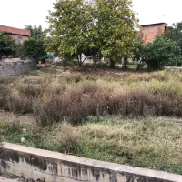 زمین فروشی محمد اباد ۱۹۷ متر سند دار|فروش زمین و ملک کلنگی|مینودشت, |دیوار