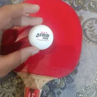 دسته بازی|ورزشهای توپی|اصفهان, باغ فردوس|دیوار