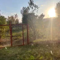 باغ در کلیبر