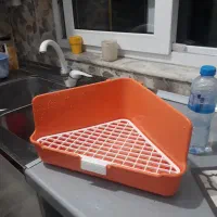 توالت/دستشویی/ظرف ادرار خرگوش|موش و خرگوش|فومن, |دیوار