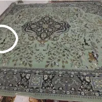 فرش|فرش|زنجان, |دیوار
