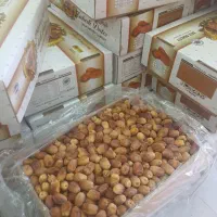 خرما زاهدی خشک|عمده‌فروشی|فامنین, |دیوار