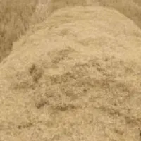 کاه جو بژگی منی 65