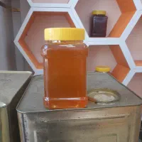 عسل و فراوردهای عسلی (هیر بال )اردبیل و سراب|خوردنی و آشامیدنی|هیر, |دیوار