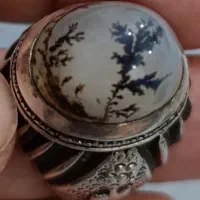انگشتر شجر|جواهرات|اهواز, پردیس دو|دیوار