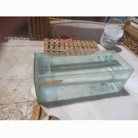 اکواریوم بسیار خوب وقت ترک داشت چسب اکواریوم زدم|ماهی|اصفهان, ارداجی|دیوار