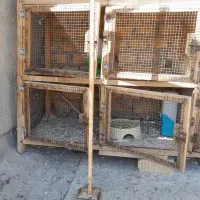 قفس جفتگاه|لوازم جانبی حیوانات|شیراز, شهرک صادقیه|دیوار