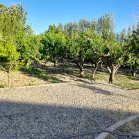 1000زمین-4دیواری-جنوبی-اقدسیه-دهکده-ورزشی-همنوش