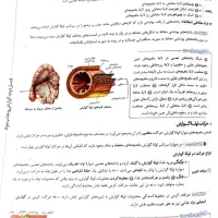 کتاب کار زیست دهم ماجرای من و درسام کتاب تست تجربی|کتاب و مجله آموزشی|ورامین, ورامین|دیوار