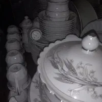 سرویس چینی ۱۲ نفره اسپیدار|ظروف سرو و پذیرایی|قم, ولیعصر|دیوار