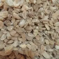 ثعلب قلوه کوهی اصل