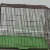 قفس پرنده