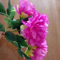 ۳شاخه گل بنفش بزرگ