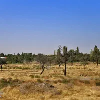 فروش ۵۳ من زمین
