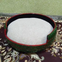 جای خواب سگ