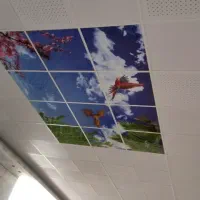 سقف کاذب|خدمات پیشه و مهارت|بیرجند, |دیوار