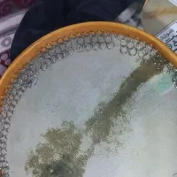 دف حبیبی مدل رکوردینگ