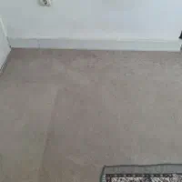 پالازموکت|موکت|ایلام, |دیوار