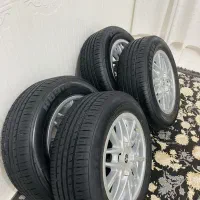 رینگ لاسیتک خشک خرچنگی