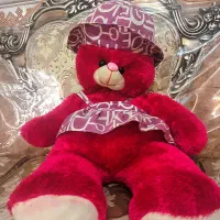 خرس بزرگ و زیبا